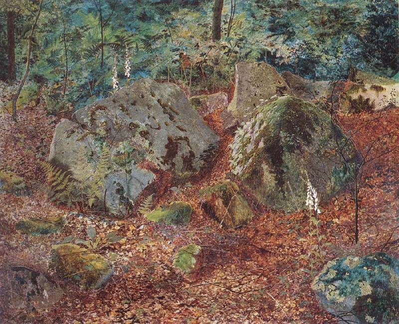 Atkinson Grimshaw A Mossy Glen